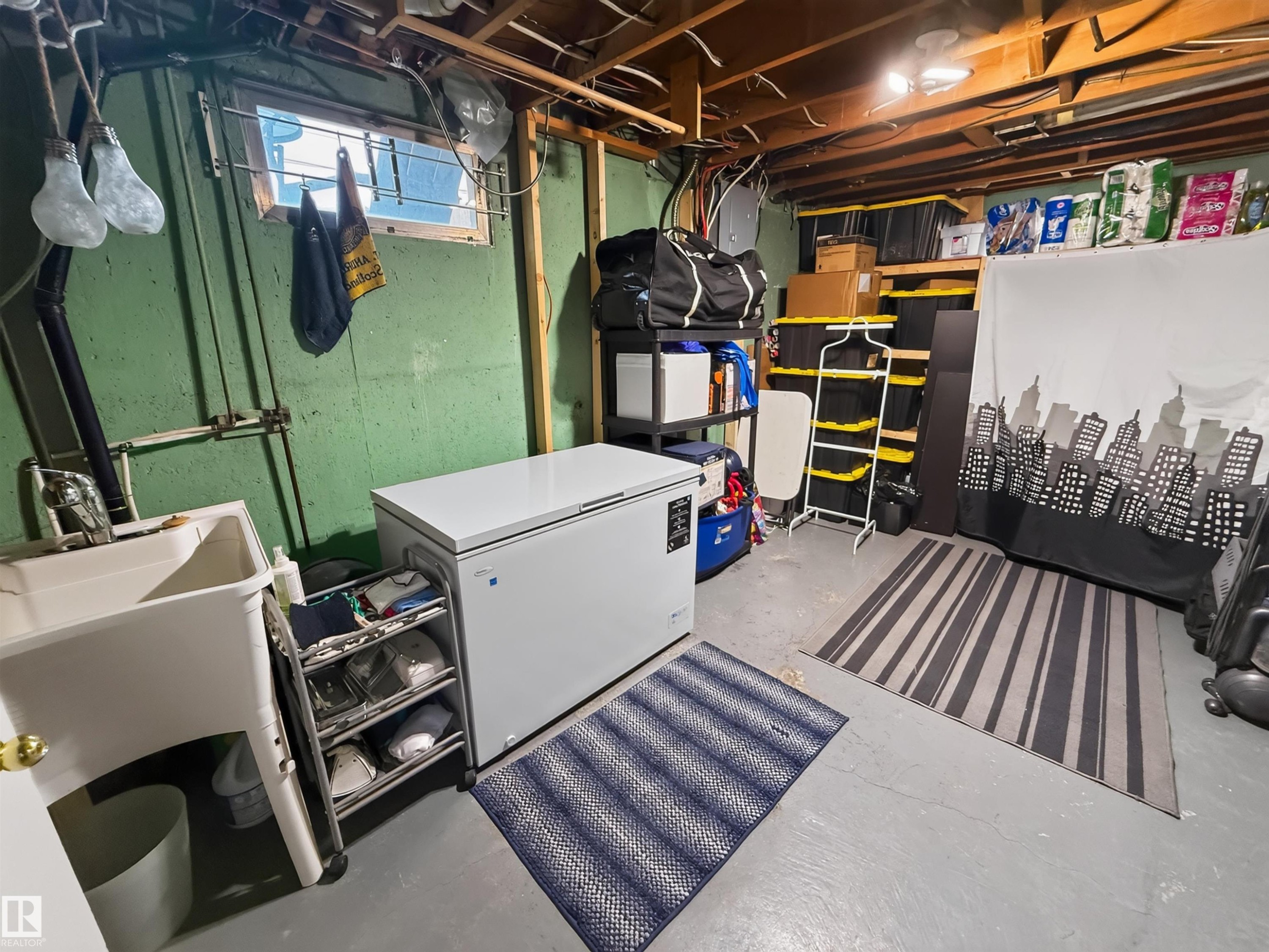 16046 95 Avenue Nw, Edmonton, AB - Indoor Photo Showing Basement