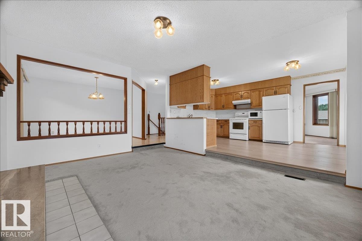 Carpeted living area with tile hearth, recessed kitchen with wood-finish cabinetry, and a wood-railed half-wall - 2907 49 Street Nw, Edmonton, AB