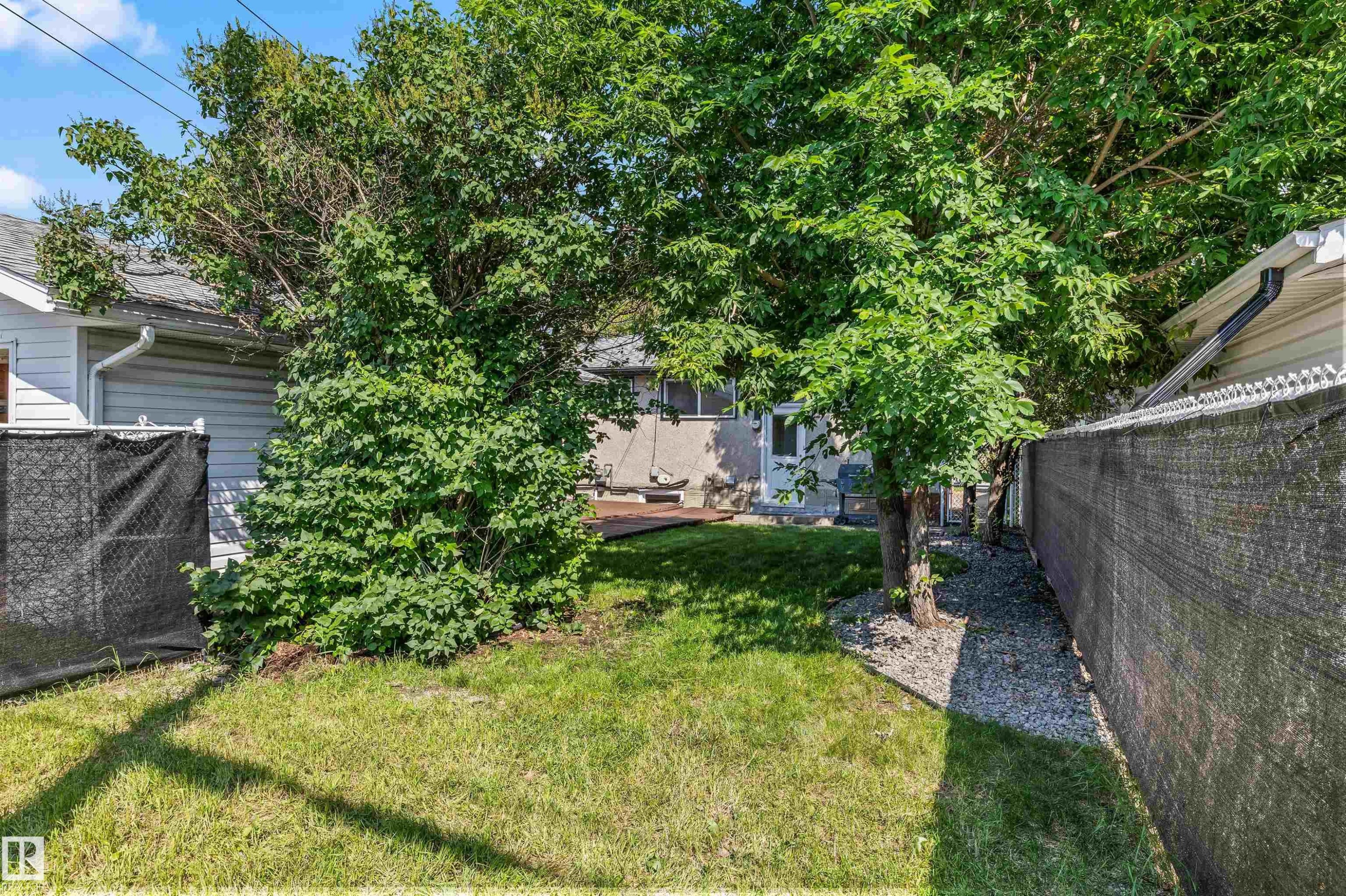 Expansive rear yard featuring mature trees, a manicured lawn, gravel landscaping, and a wooden deck - 13320 123 Street Nw, Edmonton, AB - Outdoor