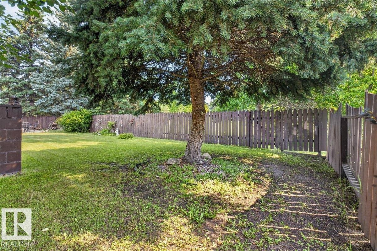 Expansive exterior space featuring a large evergreen tree, extensive lawn, and wood picket fencing - 4027 74 Street Nw, Edmonton, AB - Outdoor