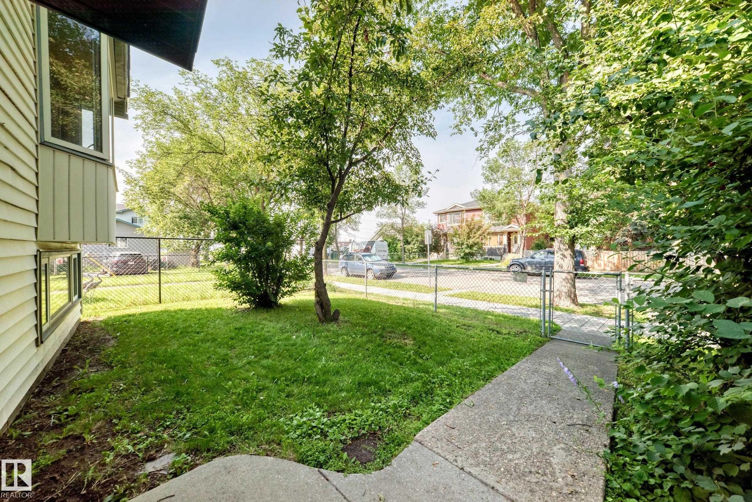 Front yard with a concrete walkway, mature trees, and a chain-link fence - 12721 117 Street Nw, Edmonton, AB