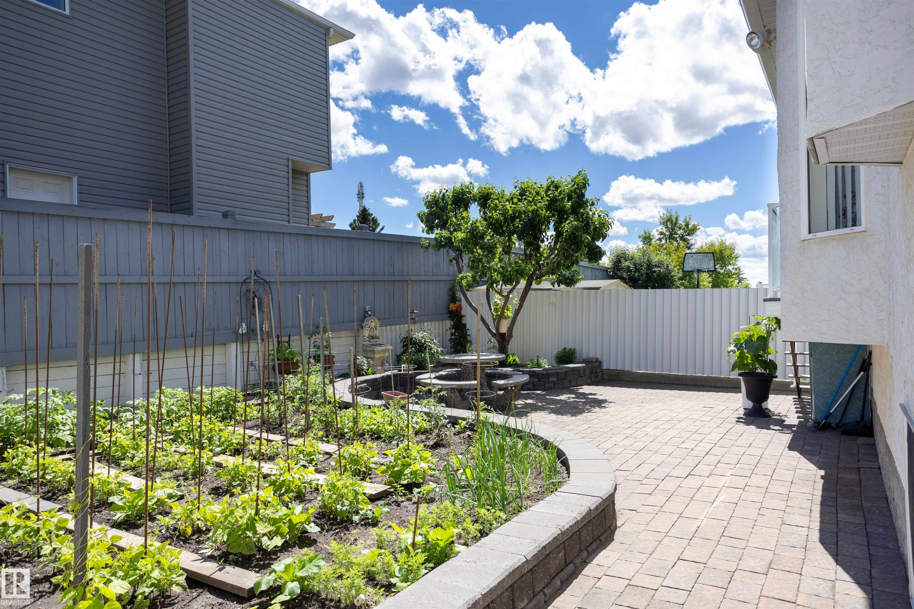 Expansive backyard featuring a paver patio, a raised garden bed with stone block edging, and a mature tree - 6407 163 Avenue Nw, Edmonton, AB
