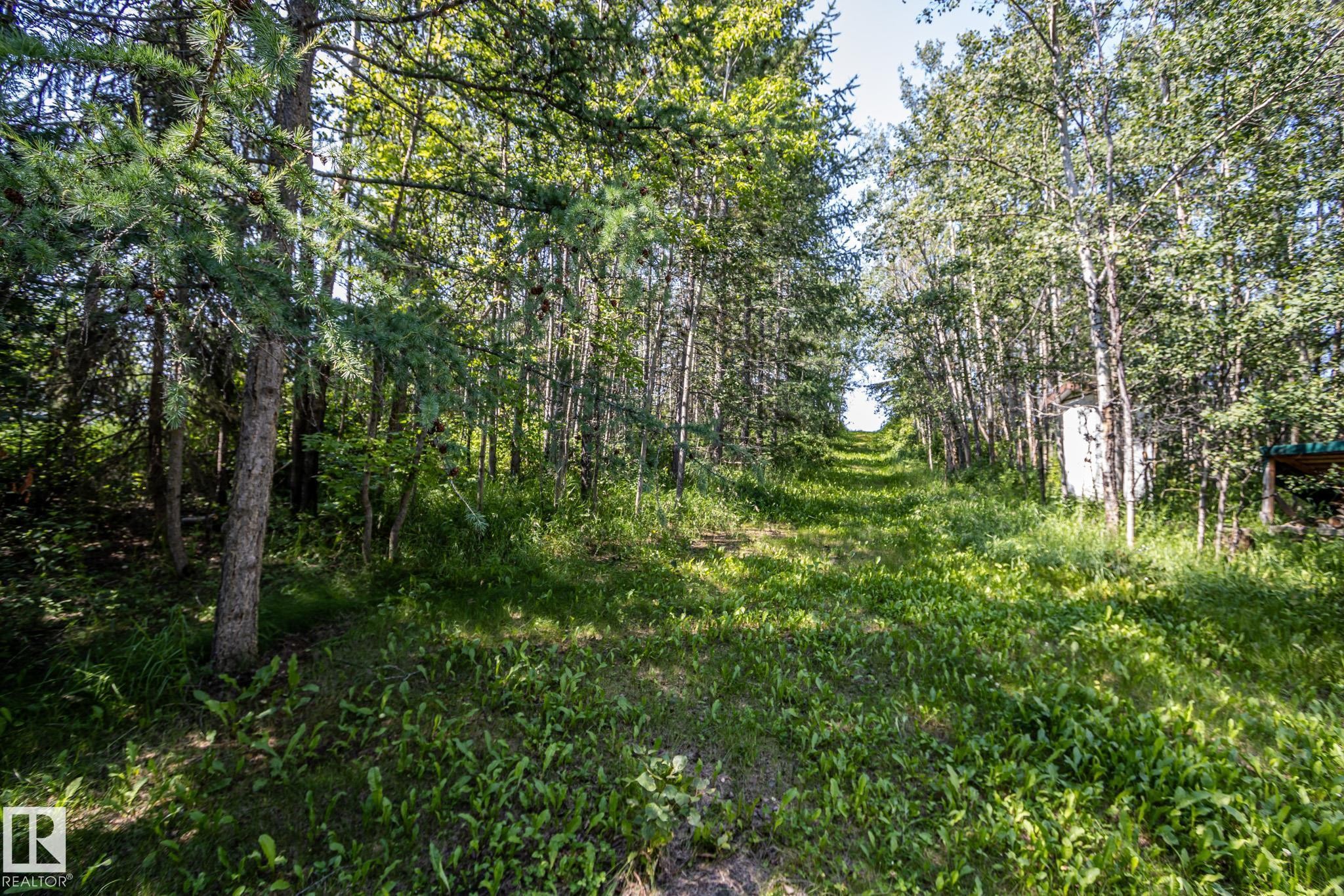 Grassed pathway bordered by a dense tree line, featuring varied foliage and a clear-cut path - 811 59209 Range Rd 95A, Rural St. Paul County, AB - Outdoor
