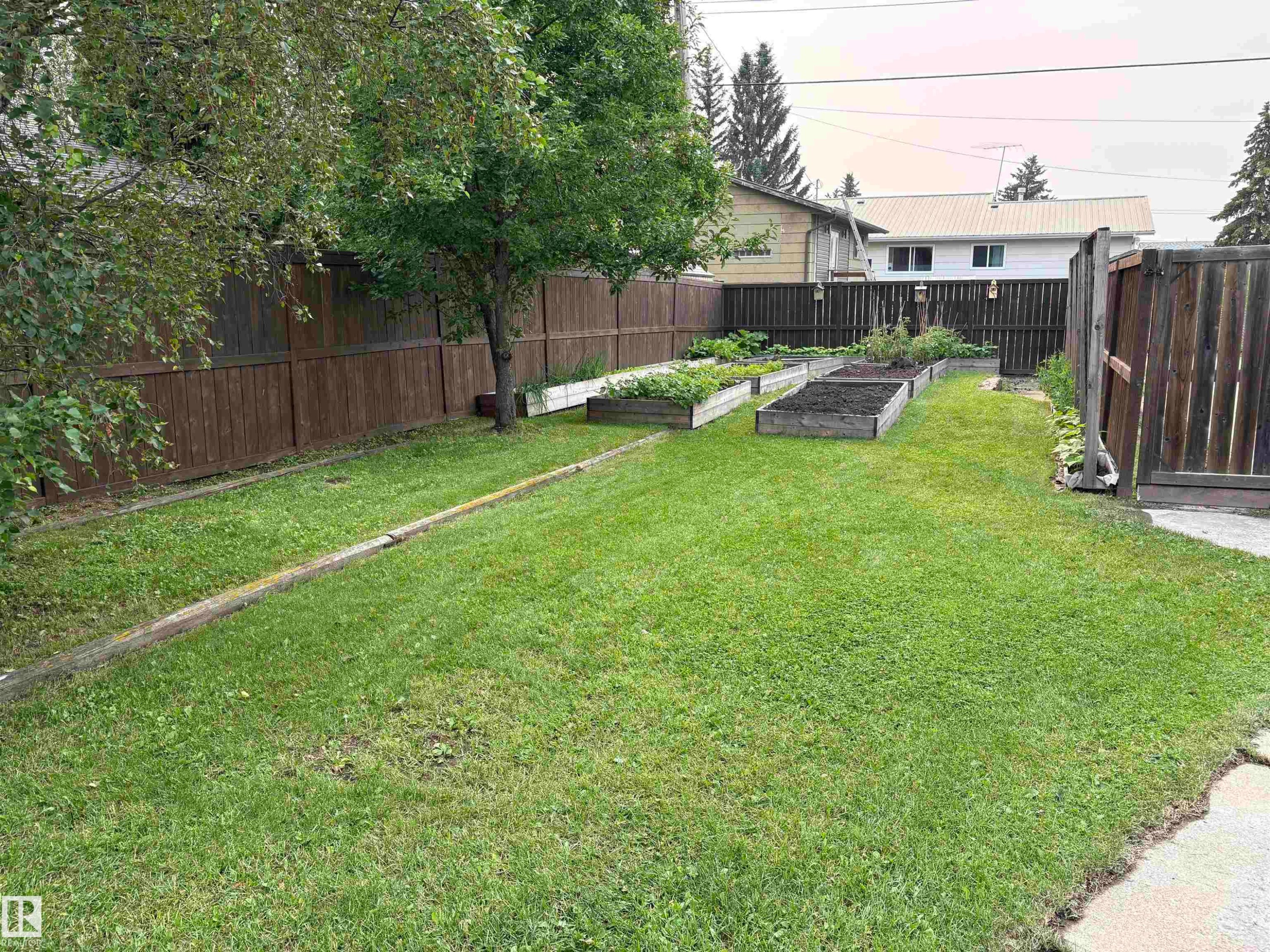 Landscaped backyard featuring a grass lawn, wood fencing, mature trees, and multiple raised garden beds - 5308 50 St, Ryley, AB