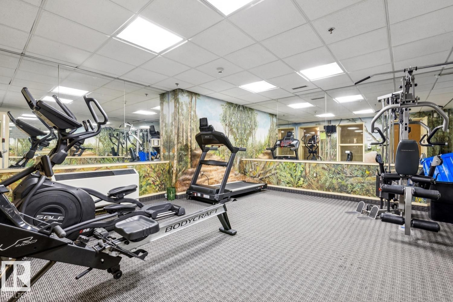 #113 7510 89 St Nw, Edmonton, AB - Indoor Photo Showing Gym Room