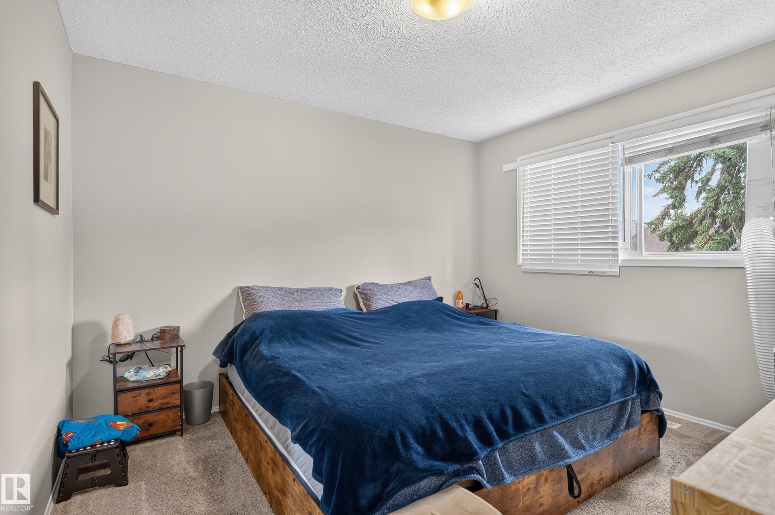 Spacious bedroom with carpeted flooring, a large window, white window blinds, and a built-in ceiling light fixture - 18319 93 Avenue Nw, Edmonton, AB