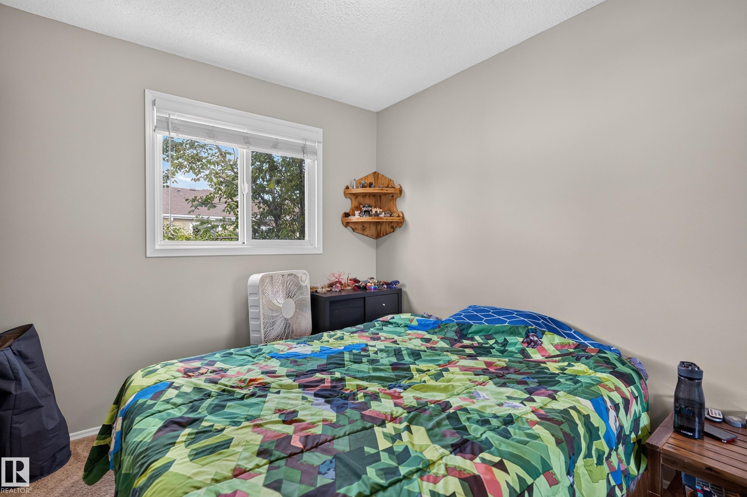 White-trimmed window with roller blinds - 18319 93 Avenue Nw, Edmonton, AB
