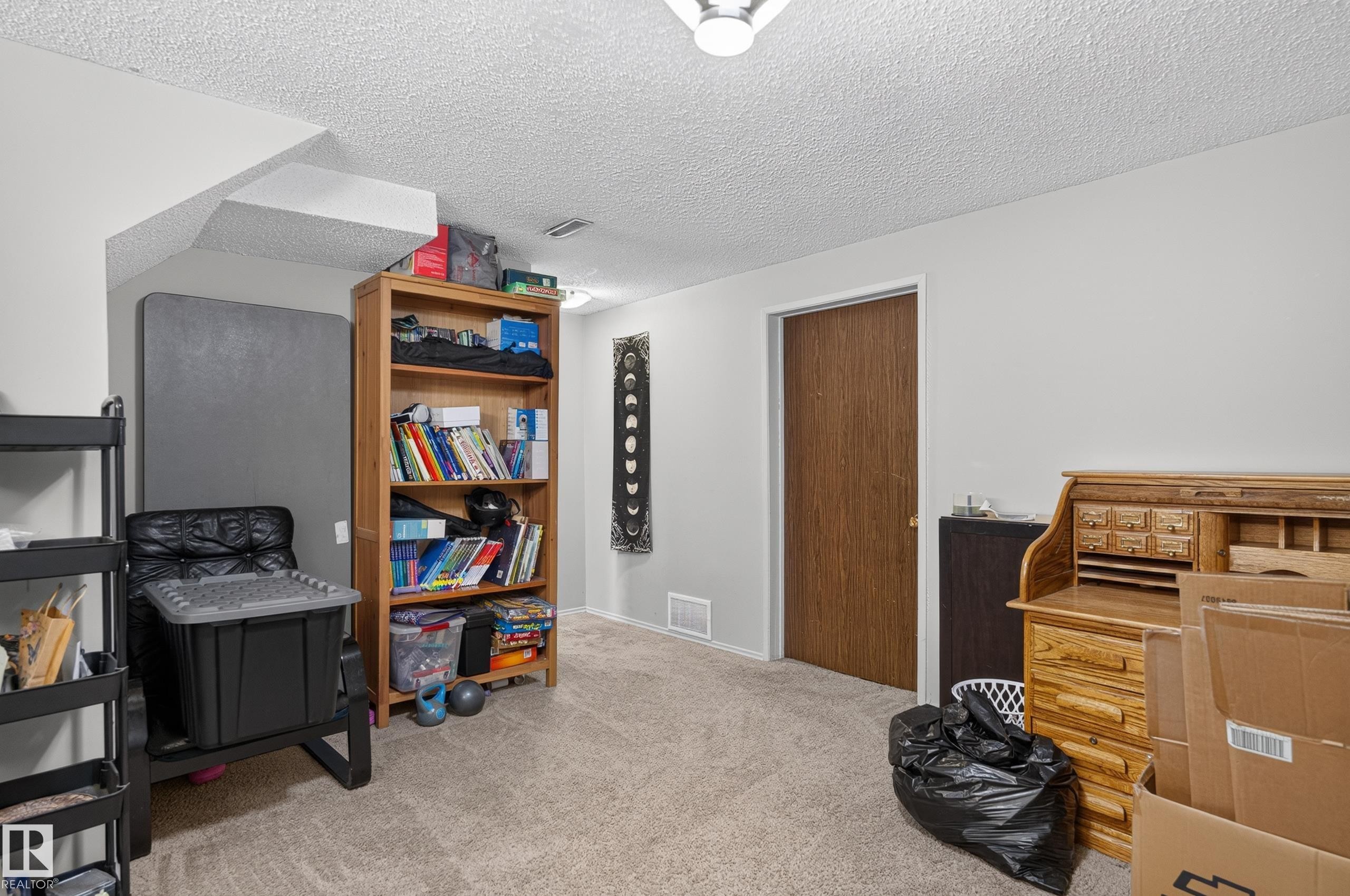 Carpeted flooring, painted walls, and ceiling-mounted light fixture - 18319 93 Avenue Nw, Edmonton, AB