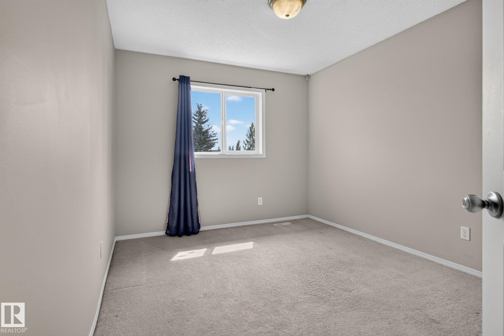 Neutral tone wall color, textured ceiling, window with exterior scenery, overhead ceiling light fixture, and carpeted flooring - 8923 173 Avenue Nw, Edmonton, AB