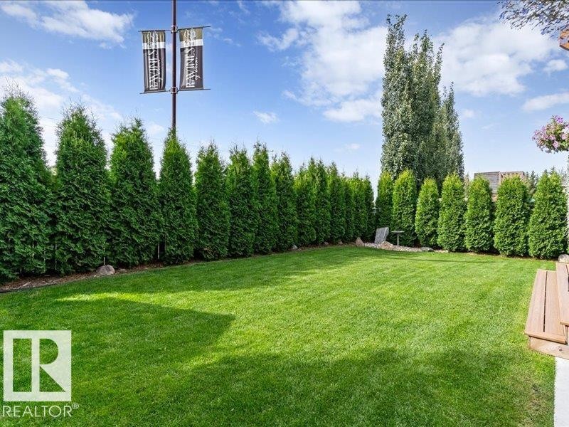 Expansive backyard featuring a manicured lawn, established privacy hedges, and mature trees - 496 Ravine Court, Devon, AB