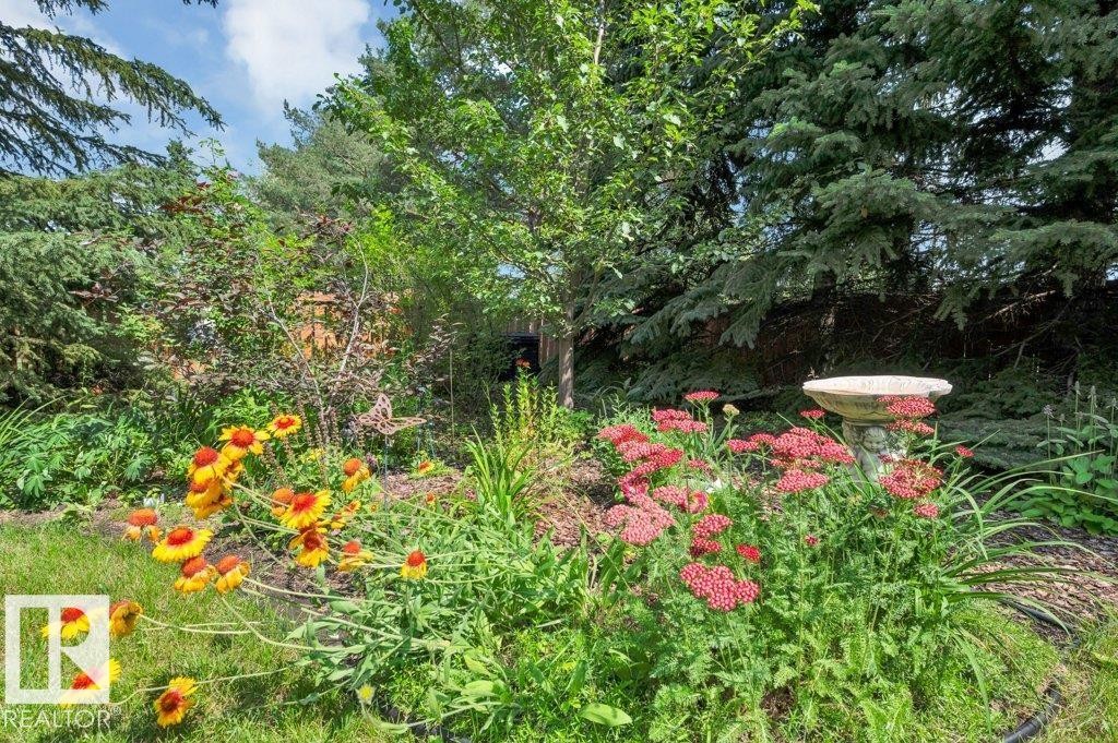 1403 69 Street Nw, Edmonton, AB - Outdoor
