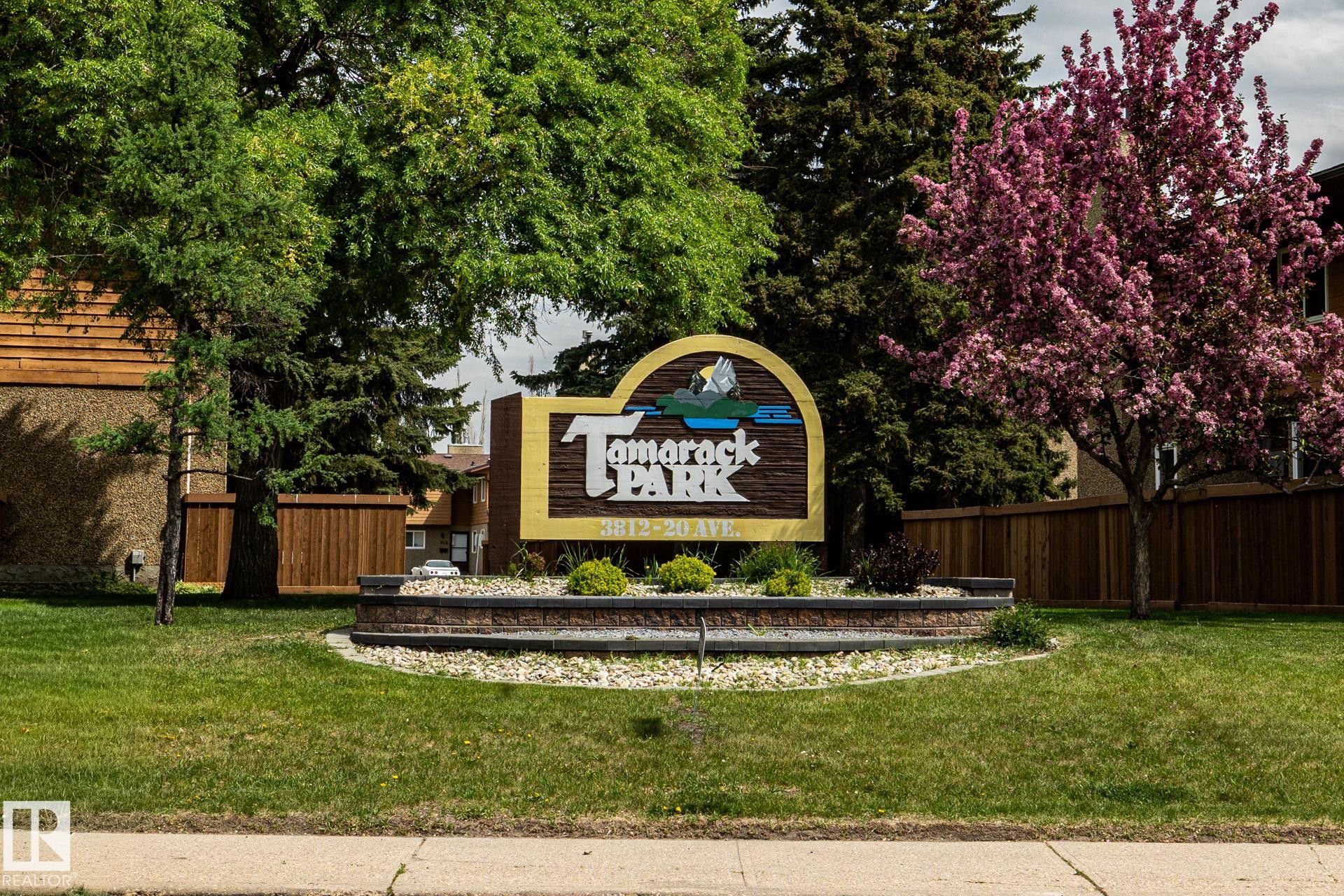 Image quality insufficient for description - #20 3812 20 Av Nw, Edmonton, AB