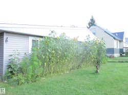 5022 51 Avenue  Innisfree, AB T0B 2G0