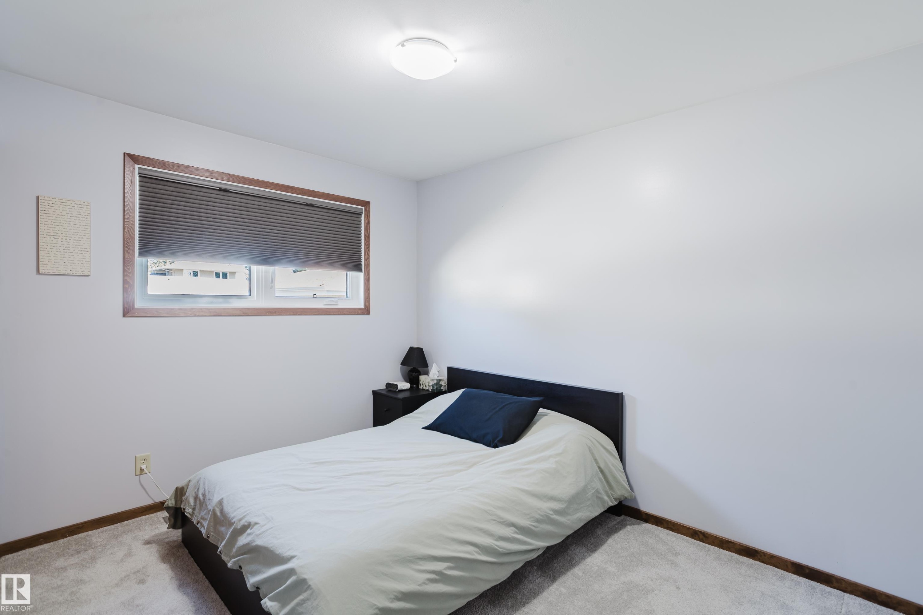 Plush carpeting, a ceiling-mounted light fixture, and a window with wood trim - 10924 35A Avenue Nw, Edmonton, AB
