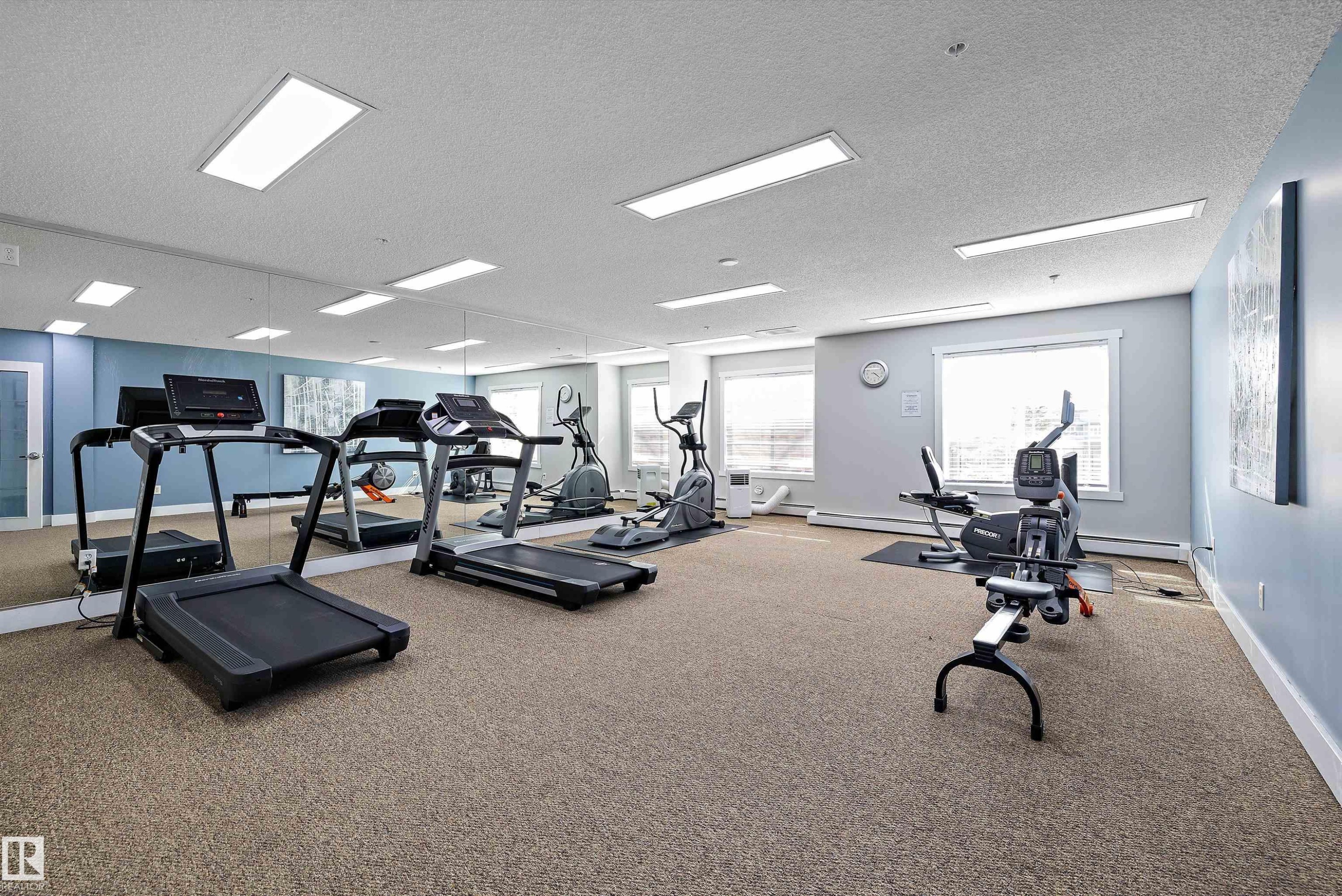 Dedicated fitness room featuring wall-to-wall carpeting and mirrored wall panels - #353 2096 Blackmud Creek Dr Sw, Edmonton, AB - Indoor Photo Showing Gym Room