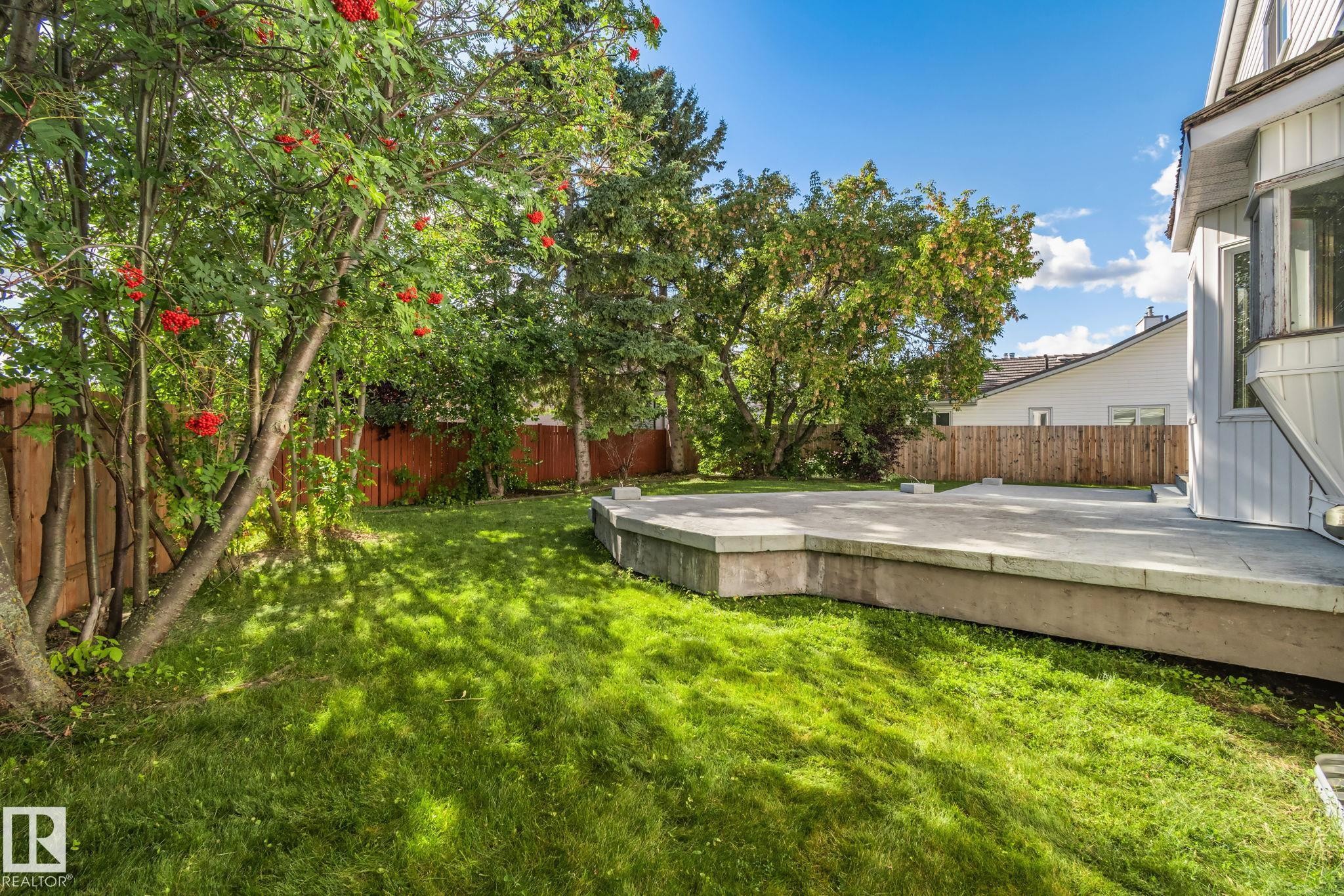 Expansive green lawn, elevated concrete patio, mature trees, wood fence, and bay window - 12403 29A Avenue Nw, Edmonton, AB
