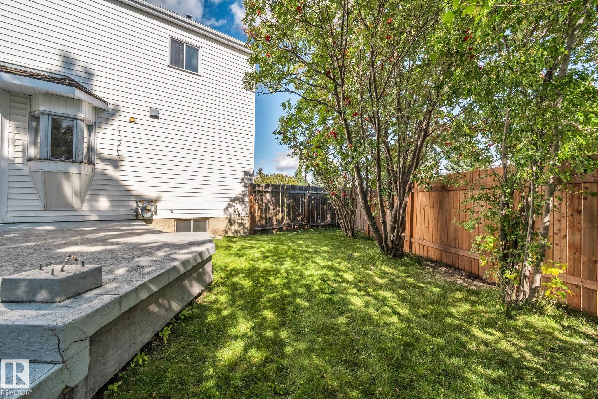 Expansive green lawn, mature trees, wood fence, white siding, and a concrete patio - 12403 29A Avenue Nw, Edmonton, AB