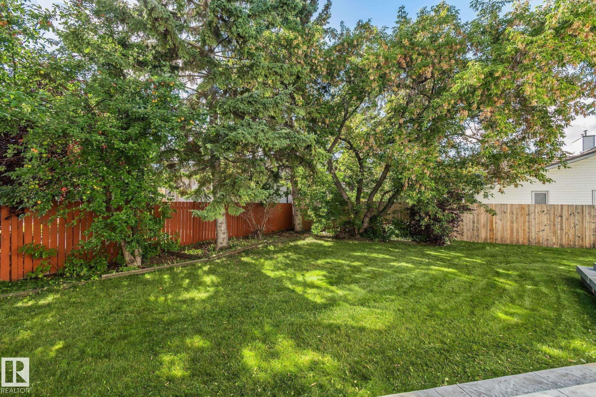 Expansive green lawn surrounded by mature trees, featuring a combination of wood fences - 12403 29A Avenue Nw, Edmonton, AB