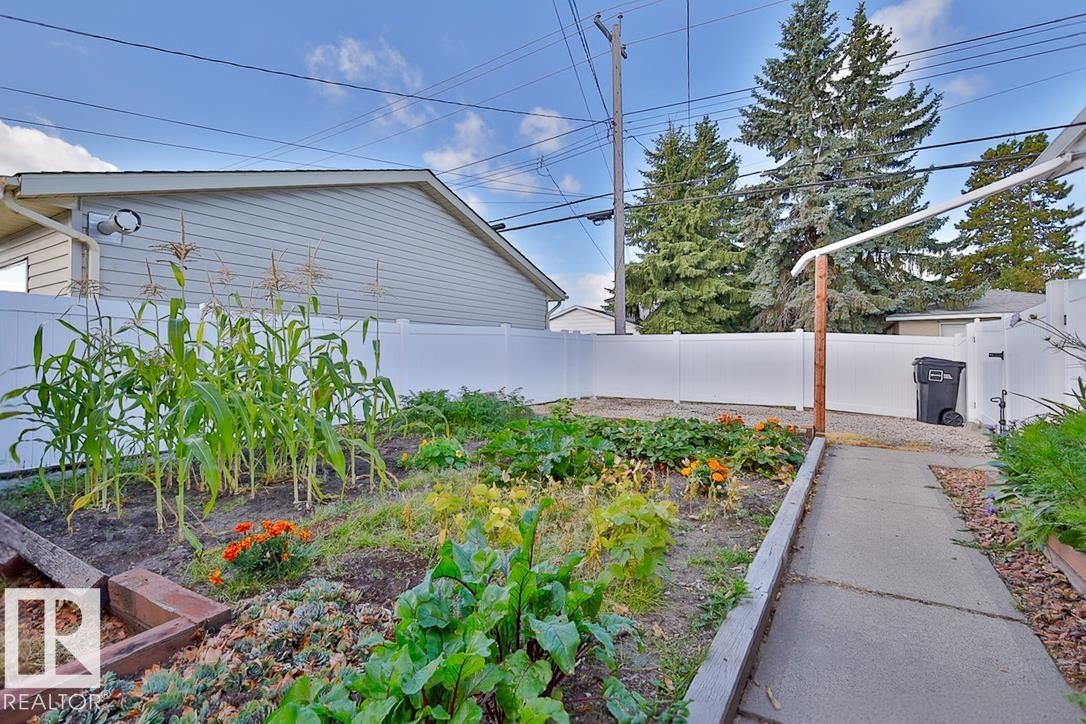 Raised garden beds with various plantings, a concrete pathway, a white vinyl fence, and a gravel area - 13312 123A Street Nw, Edmonton, AB