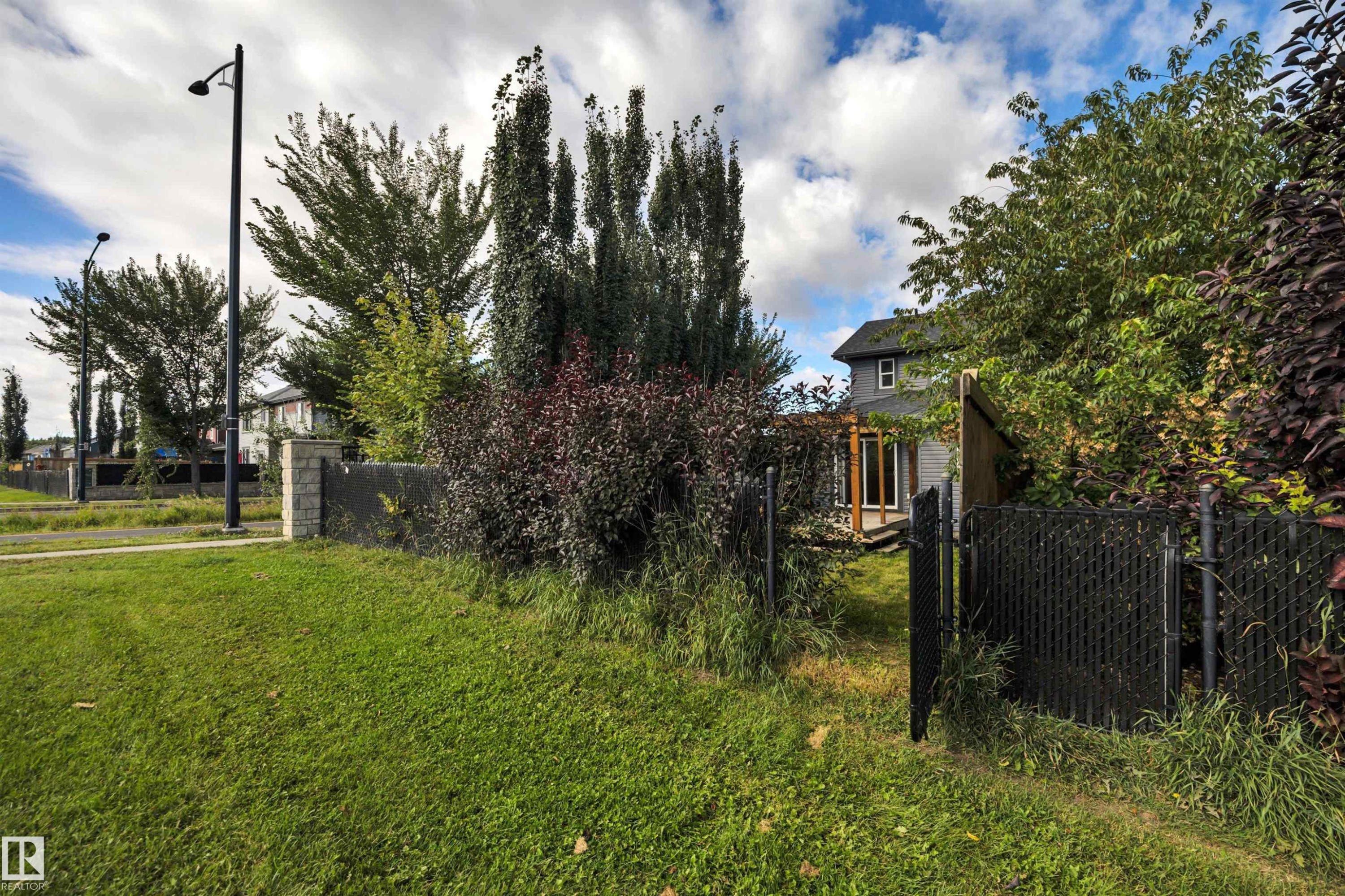 Expansive green lawn with established trees and shrubs - 12903 205 Street Nw, Edmonton, AB