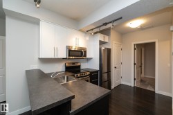 Kitchen featuring sleek white cabinetry, dark countertops, stainless steel appliances, and dark wood-finish flooring - 