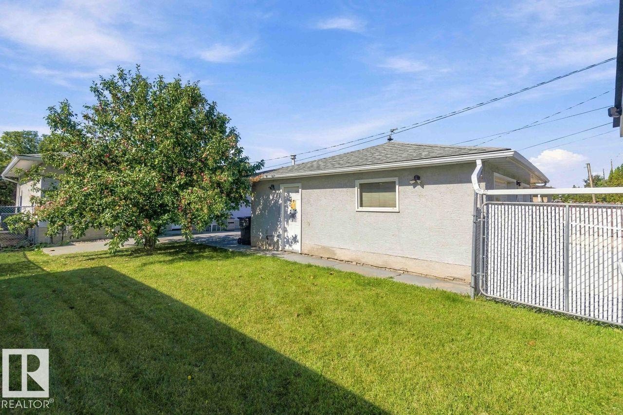 Expansive green lawn with a mature deciduous tree, bordered by a chain link fence with privacy slats - 13427 83 Street Nw, Edmonton, AB