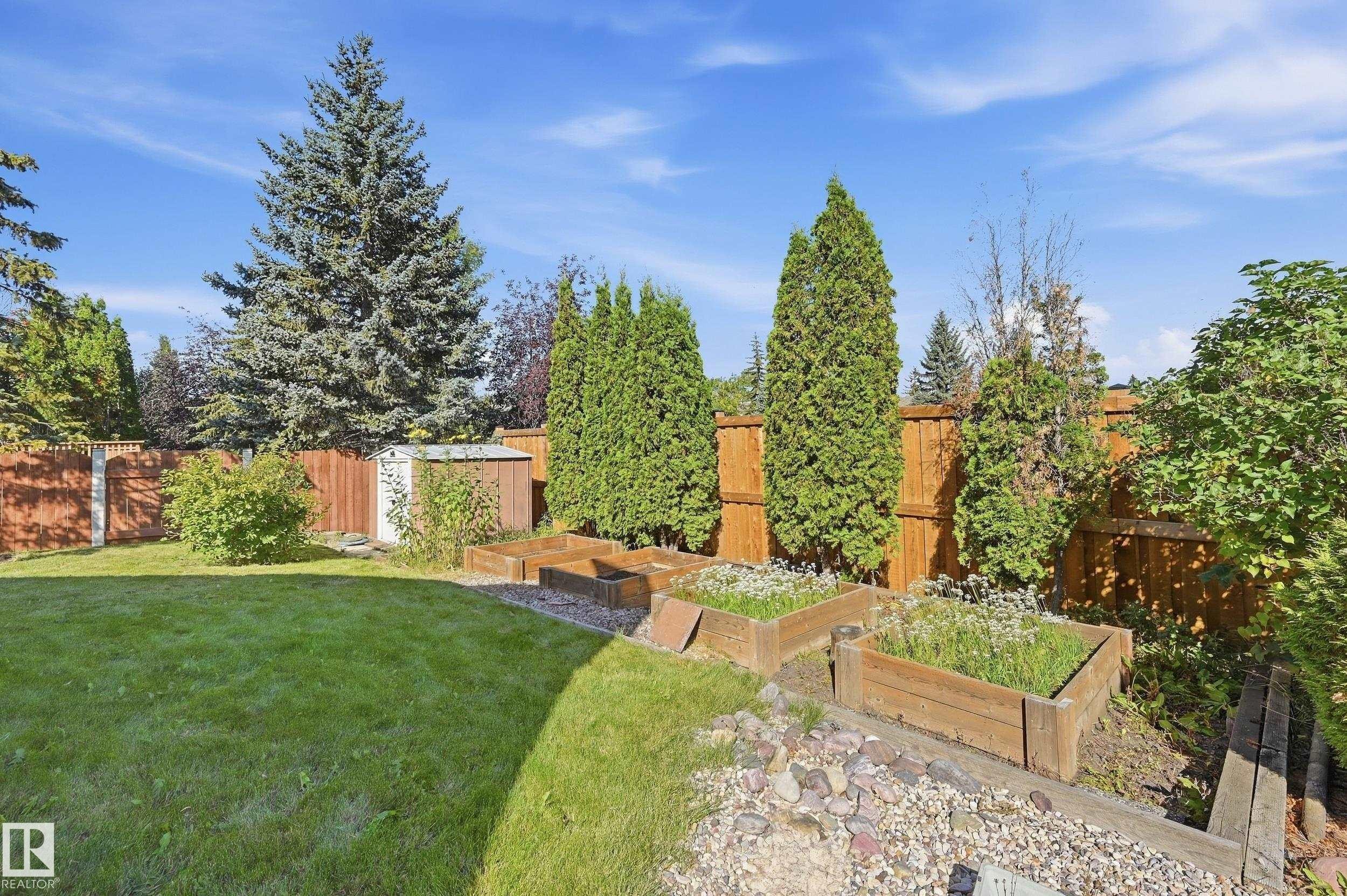 Expansive backyard with a manicured lawn, established privacy fencing, and multiple tiered raised garden beds - 11102 11A Avenue Nw, Edmonton, AB