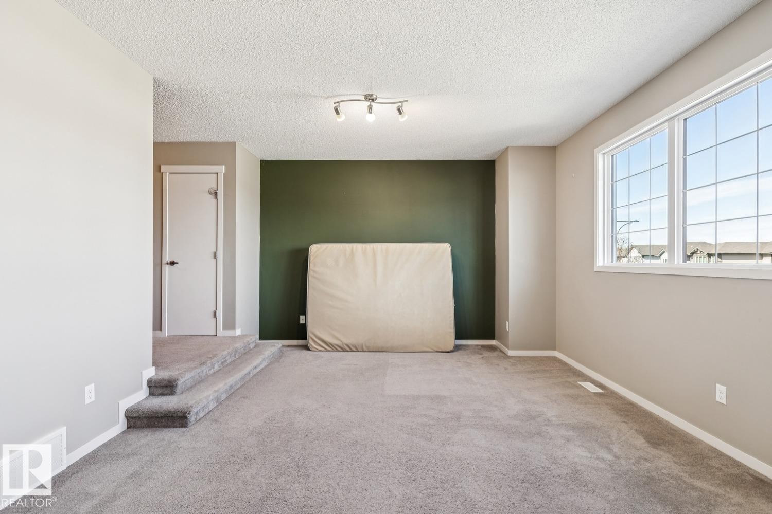 Carpeted flooring, white trim, track lighting fixture, white interior door, and a large multi-pane window - 12007 173 Avenue Nw, Edmonton, AB