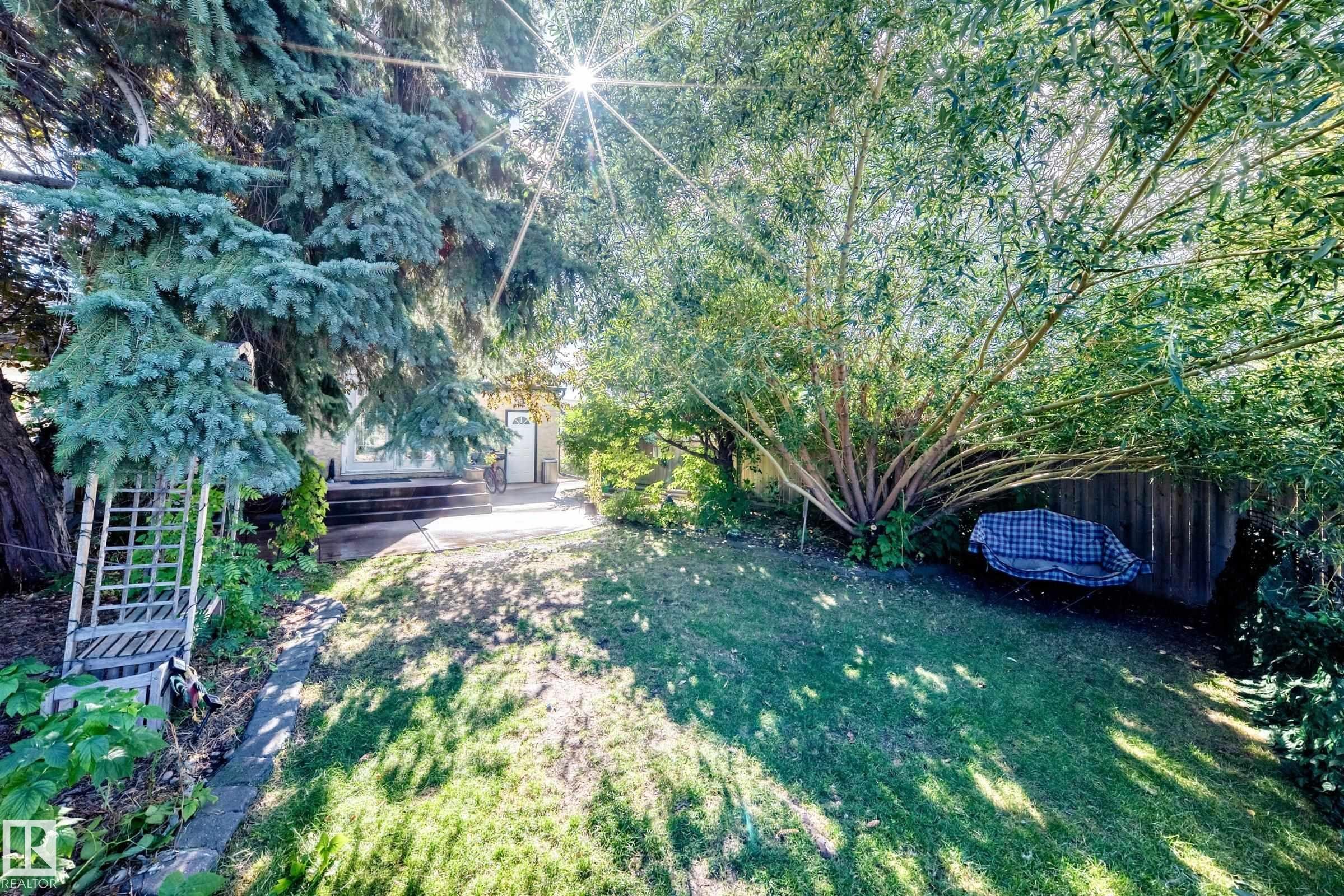 Expansive backyard featuring mature trees, a manicured lawn, and a slatted wood fence - 5620 93A Avenue Nw, Edmonton, AB