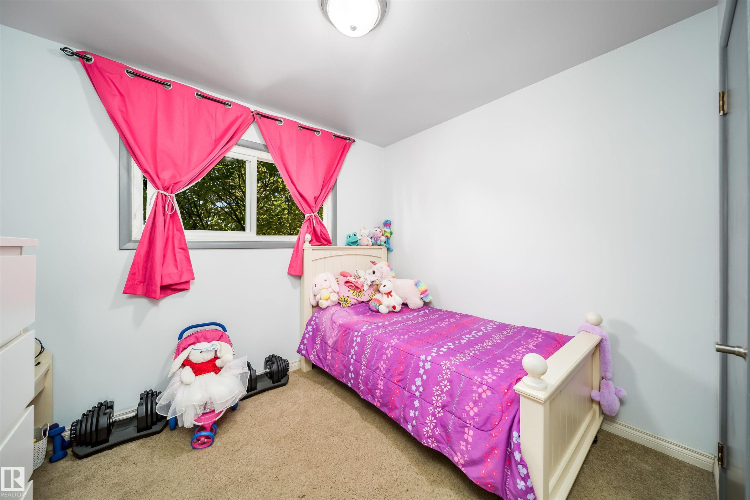 Recessed window with exterior scenery, carpeted flooring, light-toned wall paint, and a ceiling-mounted light fixture - 10245 160 Street Nw, Edmonton, AB