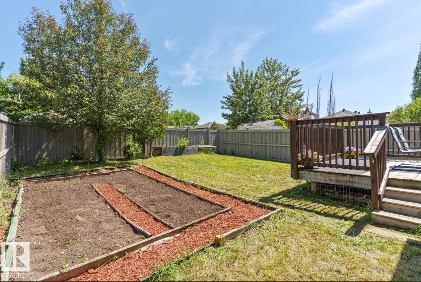 Expansive backyard featuring a wood-decked patio with stairs, a designated garden area with a wood-framed border and wood chip pathways, a mature shade tree, and perimeter fencing - 1007 Macewan Close Sw, Edmonton, AB - Outdoor With Backyard