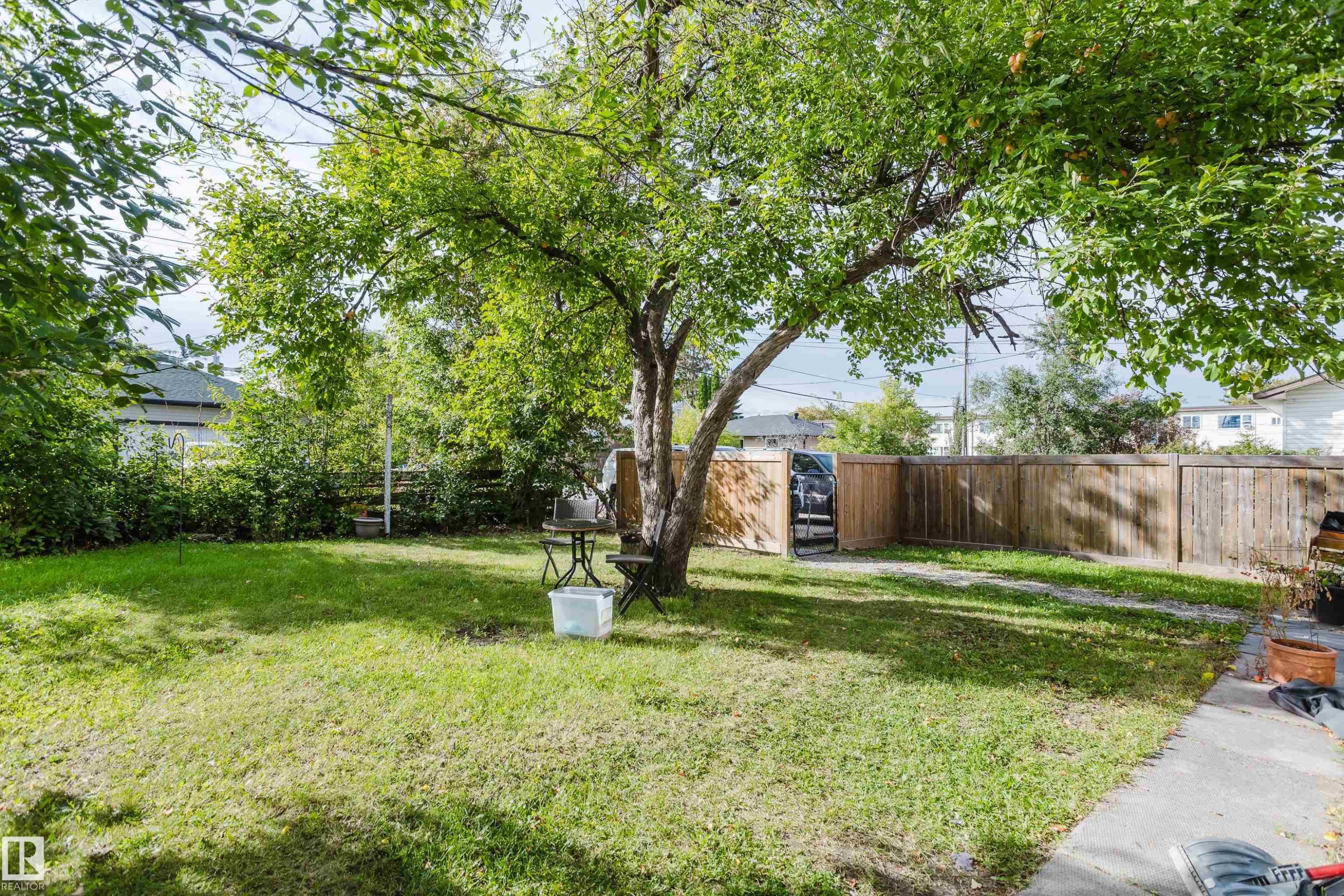 Expansive backyard featuring a mature tree, manicured lawn, full privacy fencing, and concrete pathway - 11134 11138 116 Street Nw, Edmonton, AB