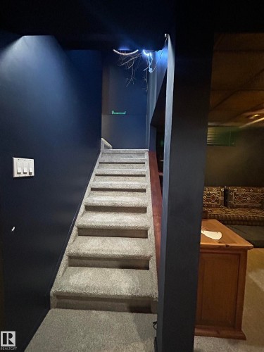 Carpeted staircase with dark wall finishes - 10678 Beaumaris Road Nw, Edmonton, AB 