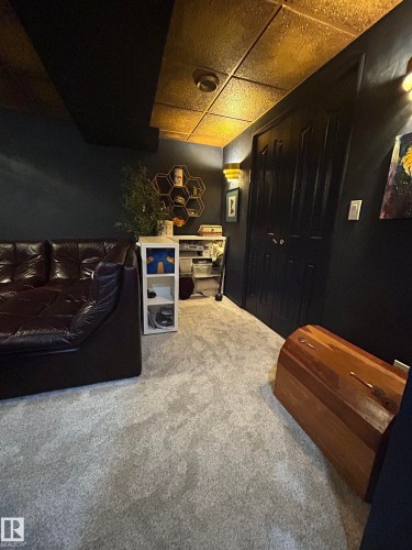 Plush carpeting, dark wall finish, textured ceiling panels, and built-in double doors - 10678 Beaumaris Road Nw, Edmonton, AB 