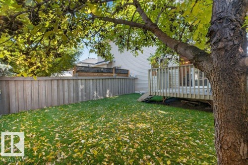 Private backyard with a wood fence, established tree, and a raised wood deck - #41 287 Macewan Rd Sw, Edmonton, AB 