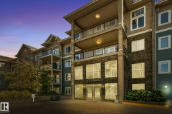 #334 10121 80 AV NW Edmonton, AB T6E 0B9