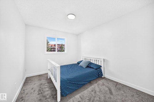 White walls, gray carpet, and a single window with white trim - #27 287 Macewan Rd Sw, Edmonton, AB 