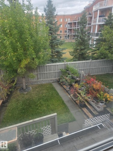 Enclosed backyard featuring a wood fence, concrete patio, and mature trees - #27 287 Macewan Rd Sw, Edmonton, AB 