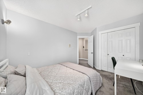 Textured gray carpeting, white trim work, track lighting, and a bi-fold closet - 5830 181 Street Nw, Edmonton, AB 