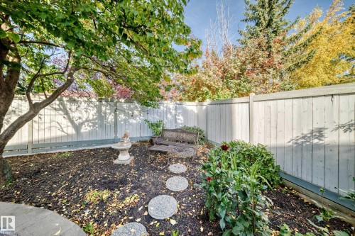 Landscaped outdoor area featuring a mature tree, privacy fencing, stepping stones, and planted garden beds - 5830 181 Street Nw, Edmonton, AB 