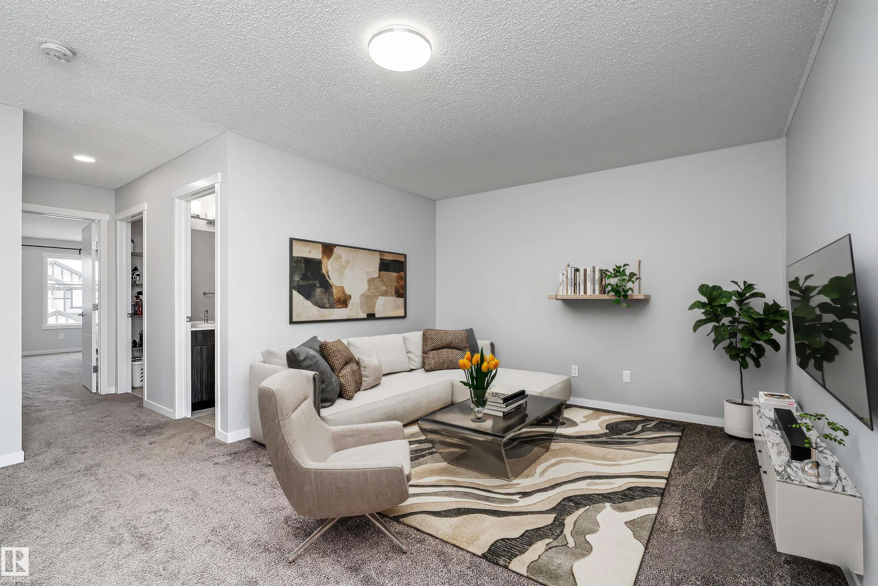 Plush carpeting throughout, bright overhead lighting, and white trim - 9227 223 Street Nw, Edmonton, AB