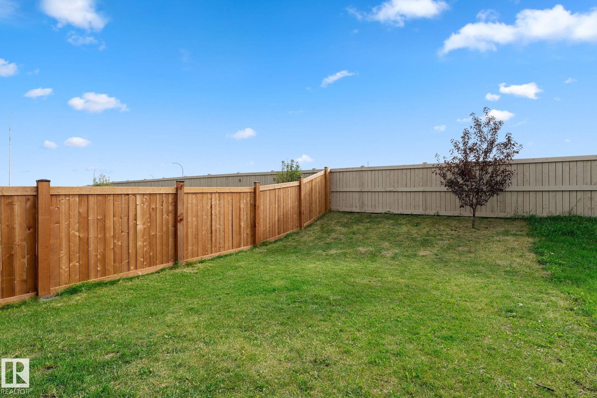 Expansive backyard with a manicured lawn, a young deciduous tree, and perimeter fencing - 1142 Goldfinch Crescent Nw, Edmonton, AB