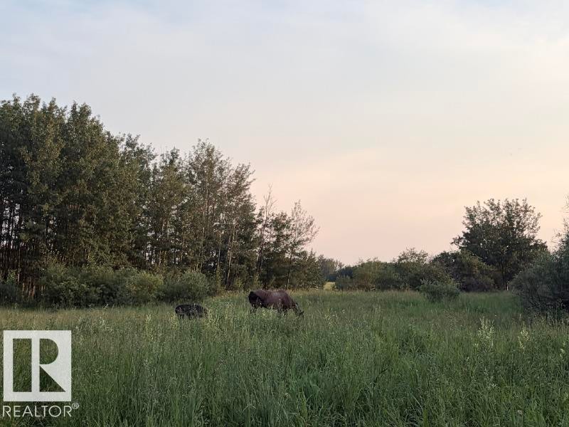 Expansive green field featuring varied foliage and mature trees - 51064 Rge Rd 222, Rural Strathcona County, AB