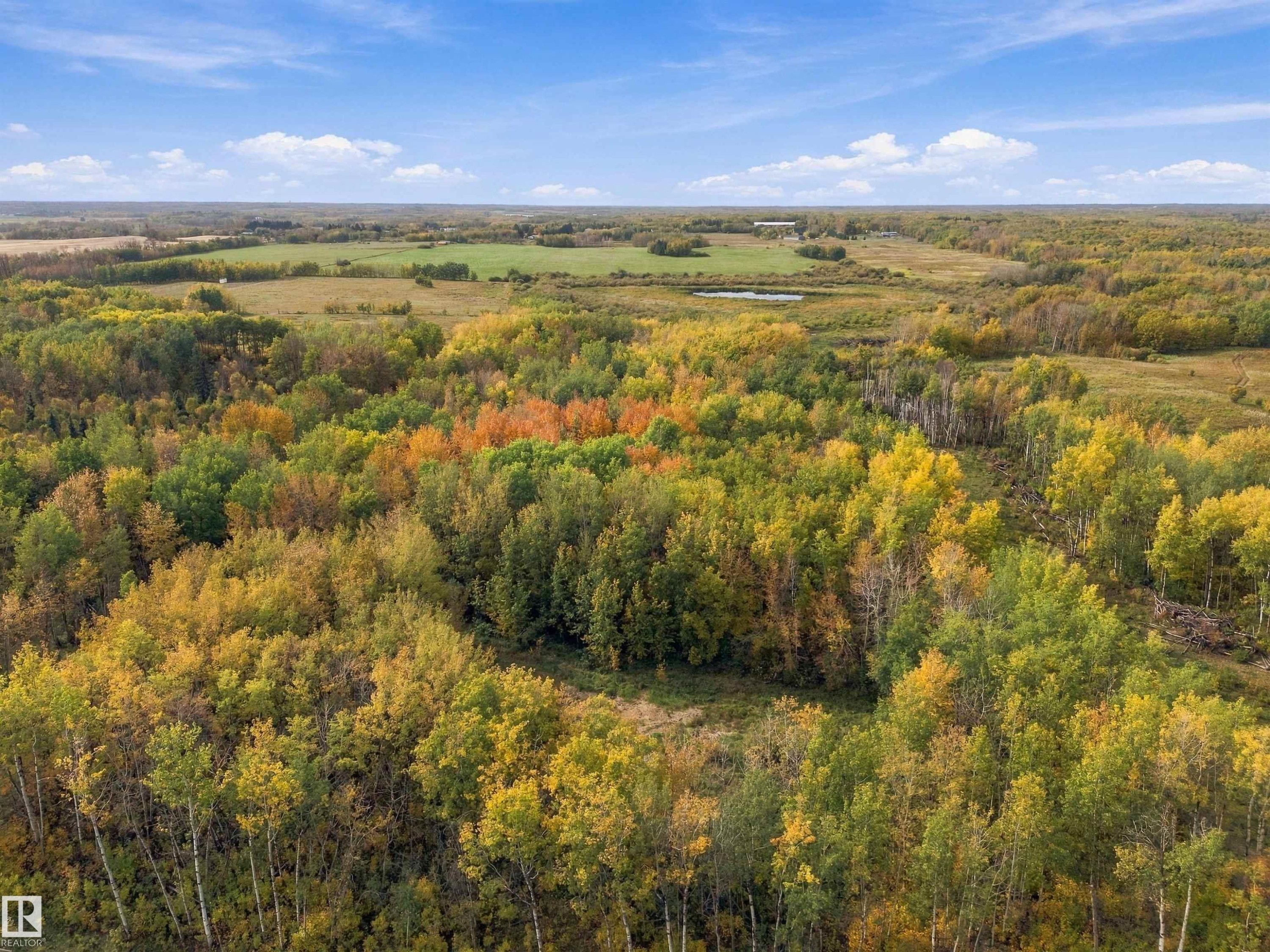 Expansive treed landscape featuring varied foliage and open fields - 51064 Rge Rd 222, Rural Strathcona County, AB