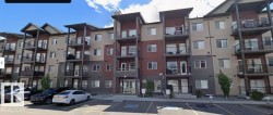 #206 9517 160 AV NW  Edmonton, AB T5Z 0N1