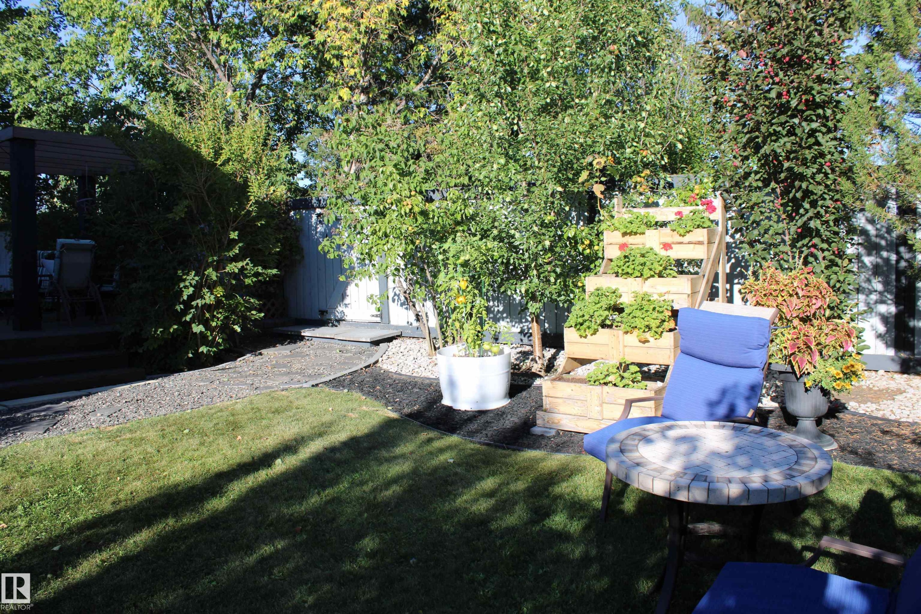 Expansive backyard featuring a green lawn, gravel pathway, mature trees, and a wooden deck - 3815 41 Street Nw, Edmonton, AB