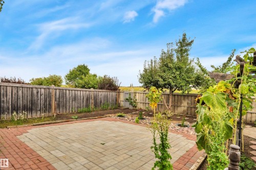 1764 Melrose Crescent Sw, Edmonton, AB 