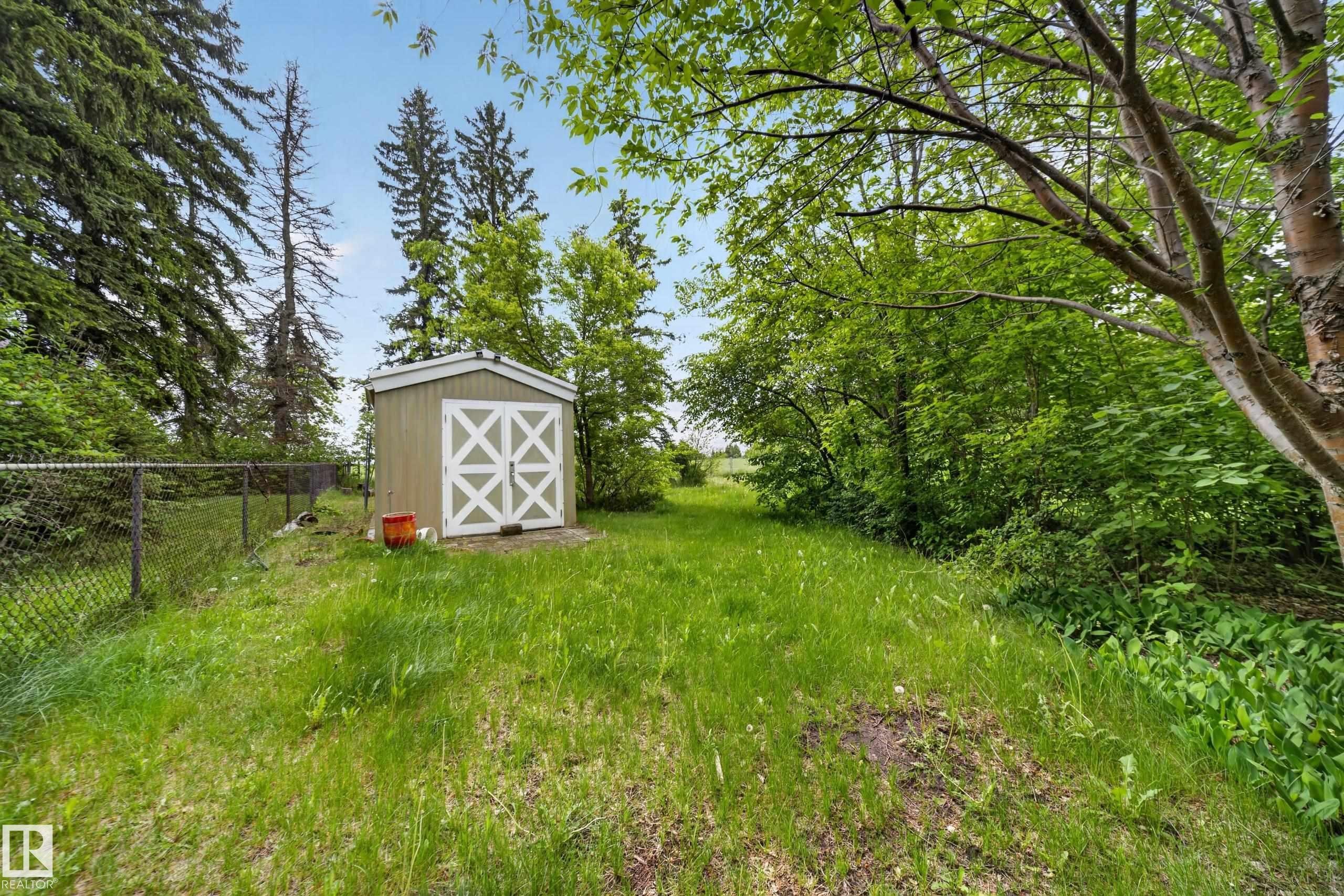 Expansive green space featuring a utility shed with paneled double doors, mature trees, and chain-link fencing - 719 65 Ave Nw, Edmonton, AB