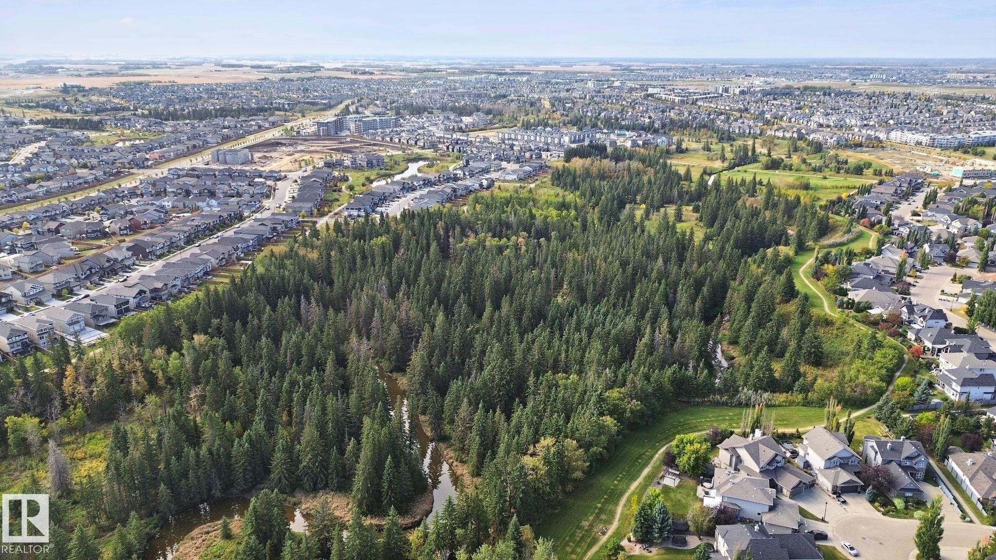 Expansive parkland with mature trees, winding pathways, and a natural water feature, surrounded by residential properties - 153 Cavanagh Common Sw, Edmonton, AB