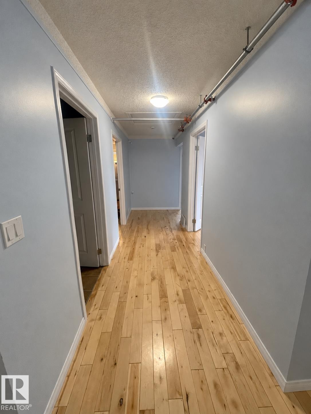 Natural wood flooring, light blue wall paint, white trim, and flush mount ceiling lighting - 18929 99A Avenue Nw, Edmonton, AB